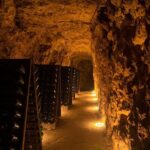 Tour of a Vineyard, Winery & Cellar with Wine Tasting in Vouvray, Loire Valley - FAQ