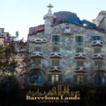 Tour private Luxury Barcelona & Lunch - What Makes This Tour Stand Out