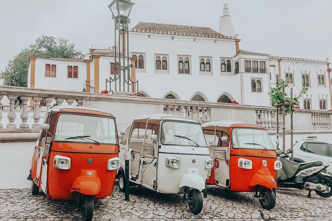Tour Sintra Palaces & Mountain - Who Will Love This Tour?