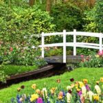 Tour to Giethoorn and Keukenhof Tulip Fields from Amsterdam - Who Will Love This Tour?