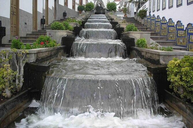 Tour to Guayadeque, Firgas, Fataga - VIP - Who Is This Tour Best For?