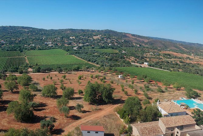 Tour & Wine tasting - Authentic Algarve Flavours by Quinta da Tôr - Frequently Asked Questions