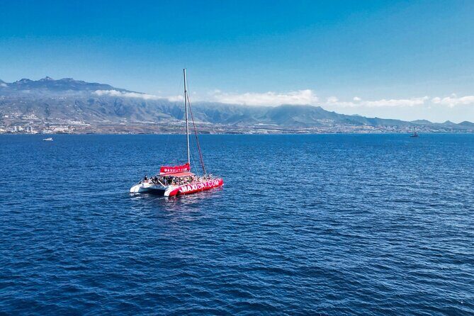 Tour with Whale and Dolphin Watching plus food included - FAQ