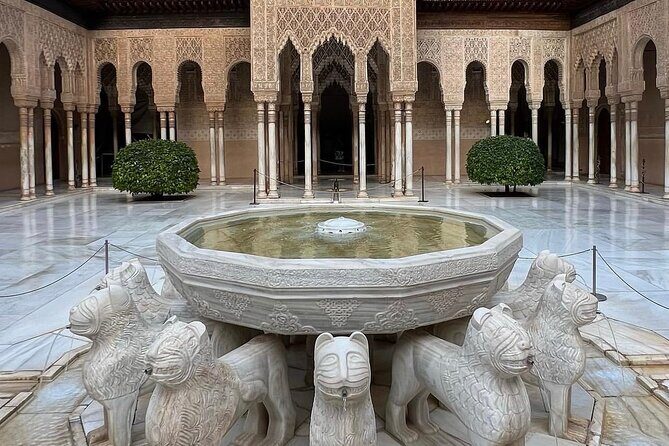 Tours Alhambra Tickets with Tour Guide - Who Will Benefit Most from This Tour?