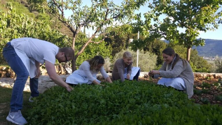 Traditional Dalmatian Cooking Class from Dubrovnik - Frequently Asked Questions (FAQ)
