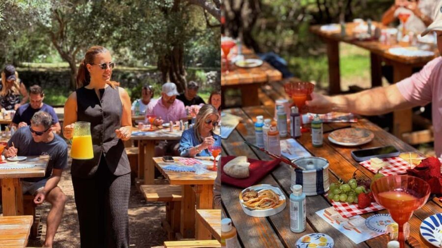 Traditional Picnic&Art Workshop on Enchanting Lokrum Island - The Art Workshop: Creativity amidst Olive Groves