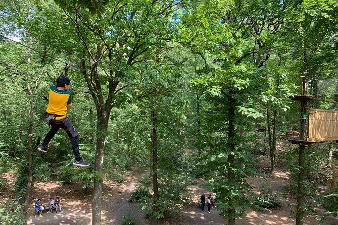 Tree Top Adventure in Forest of Meudon - Final Thoughts