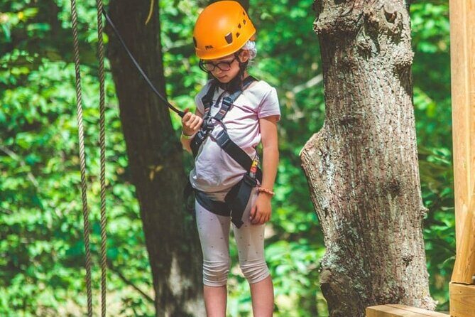 Treetop adventure course in Jablines - Possible Drawbacks and Considerations