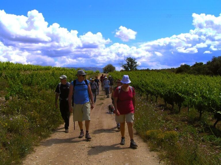 Trek & Wine in Priorat - Who Is This Tour Best For?