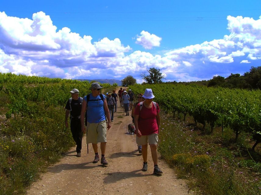 Trek & Wine in Priorat - Who Is This Tour Best For?
