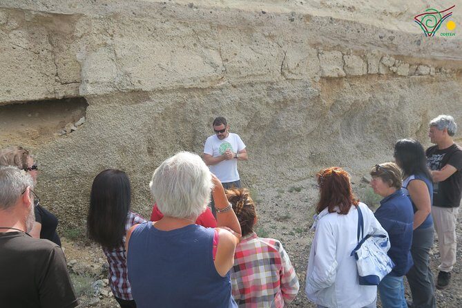 Trekking, wineries, birdwatching, local gastronomy, etc. - Exploring Tenerife: A Full Breakdown