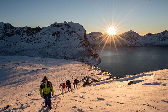 Tromsø: Winter Snowshoeing with Wandering Owl - The Guides: Friendly Experts with Local Knowledge