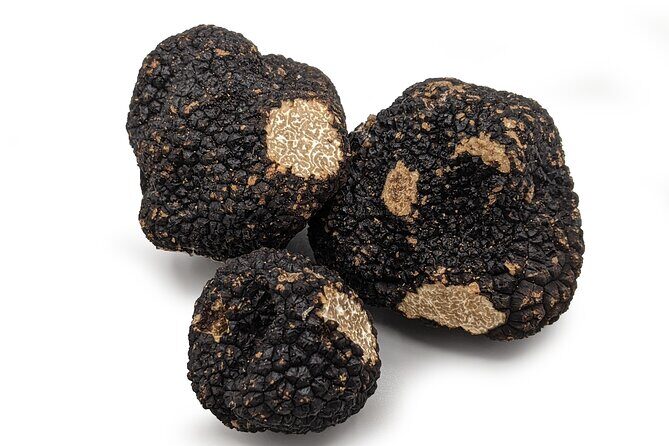 Truffle Cavage Demonstration - Practical Details
