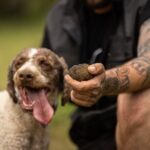 Truffle Hunting at Meteora - The Practicalities: What Travelers Should Know