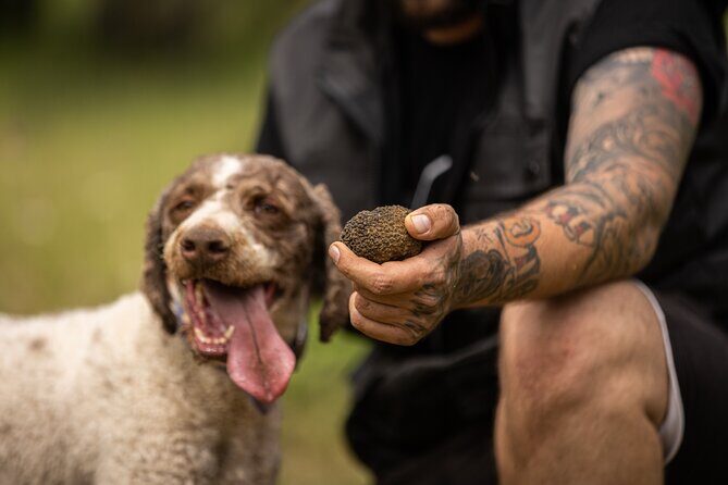 Truffle Hunting at Meteora - The Practicalities: What Travelers Should Know