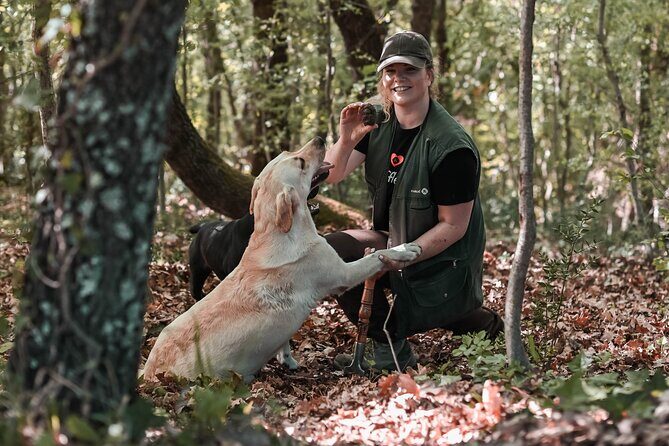 Truffle hunting & cooking tour - What Past Participants Say: Authentic Voices