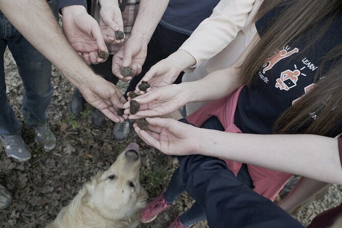 Truffle Hunting Experience and Tasting - Who Should Consider This Tour?