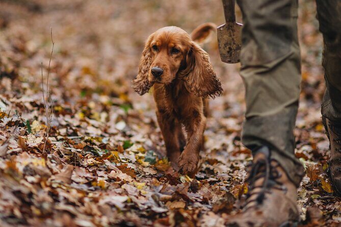 Truffle hunting for Nature Enthusiasts - Authenticity and Customer Feedback