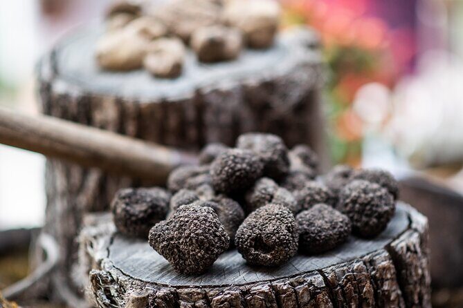 Truffle Hunting with Three Course Meal by Local Family - The Sum Up