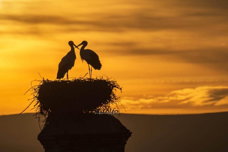 Trujillo :Sunset guided visit "The Sunset Collector". - The Sum Up