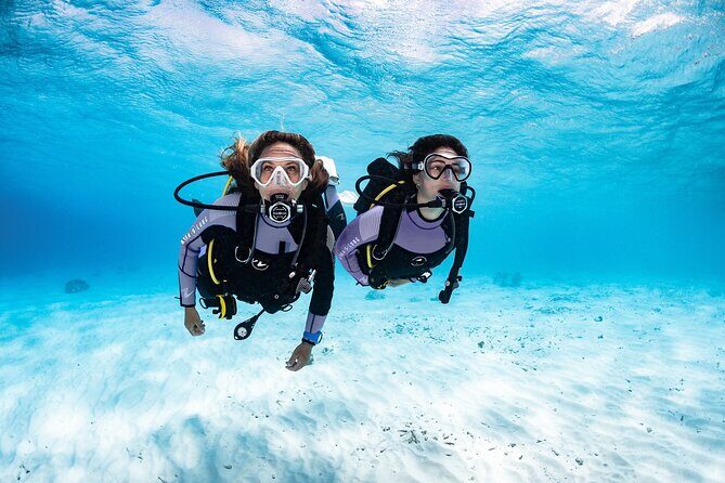 Try Dive - PADI Discover Scuba Diving in Tenerife - Who Is This Tour Best For?