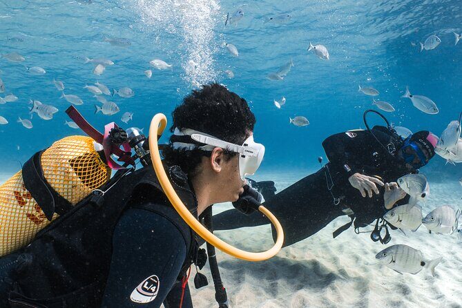 Try Scuba Diving | 1 dive - Frequently Asked Questions