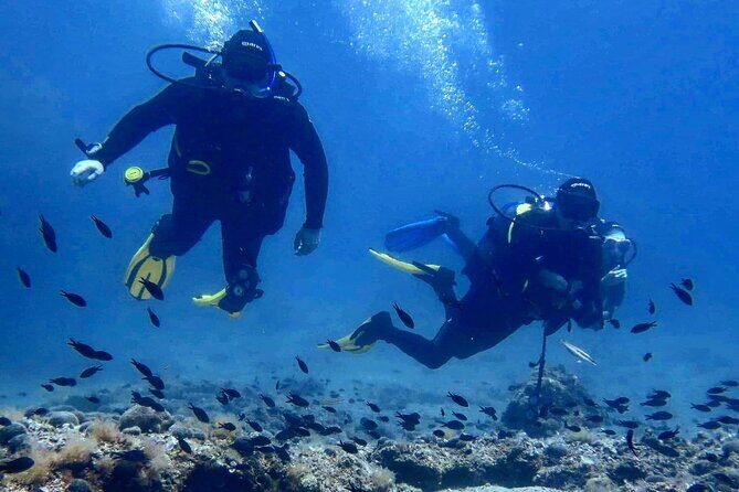 Try Scuba Diving in Split - Why This Tour Works Well