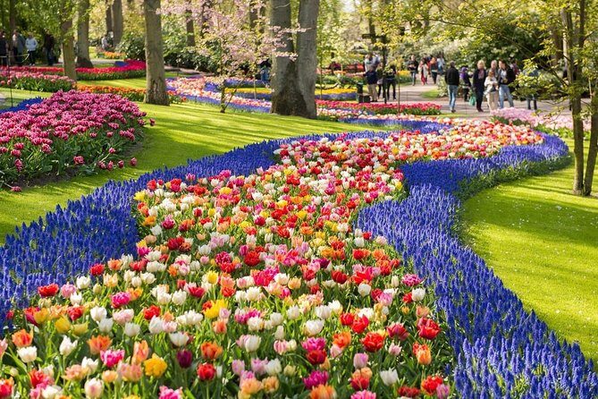 Tulip Experience and Keukenhof Flower Gardens Tour from Amsterdam - FAQ: Your Practical Questions Answered