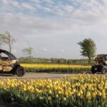 Tulip Fields Tour near Keukenhof - Self-drive with Audio Guide - The Value of This Tour