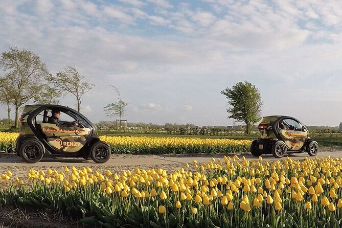 Tulip Fields Tour near Keukenhof - Self-drive with Audio Guide - The Value of This Tour