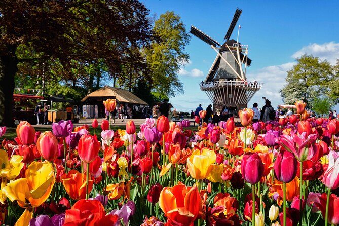 Tulip Paradise: Keukenhof Half-Day Private Tour - The Itinerary in Detail: What to Expect