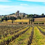 Two intensive days discover exceptional wines of the Rhône valley - Who Would Enjoy This Tour?