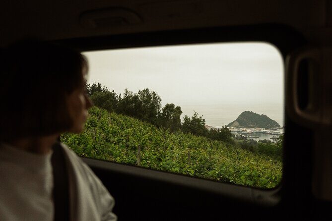 TXAKOLI vineyards HIKE, ZUMAIA and GETARIA - Private Outdoor & Gastronomic Tour - Who Will Love This Tour?