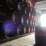 Ultimate Sherry Tour From Vejer de la Frontera in English - Key Points