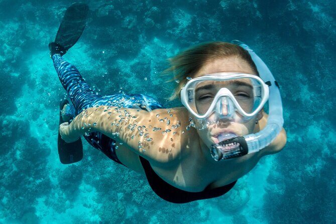 Uncharted Marine Reserve Cave, Snorkel & Cliff Jumping Kayak Tour - Authentic Observations from Travelers