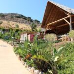 Unknown East - Agios Nikolaos Kritsa and Amazonas Park - Who Will Love This Tour?
