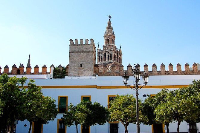Unmissable Seville private tour - A Closer Look at the Seville Private Tour Experience