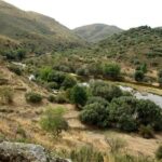 Upper Douro Walk & WineTour - Key Points