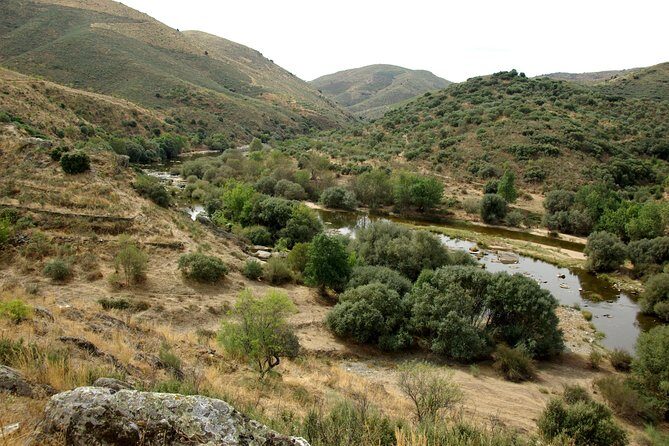 Upper Douro Walk & WineTour - Key Points