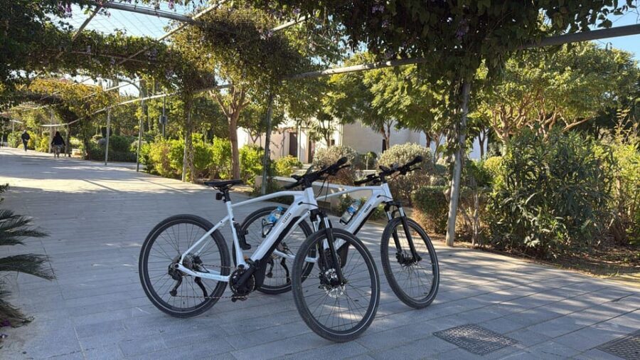 Valencia all in one: beaches, old town & city arts by E-bike - FAQ