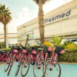 Valencia: Bike Tour and Tapas for Cruise Passenger - Authenticity and Value