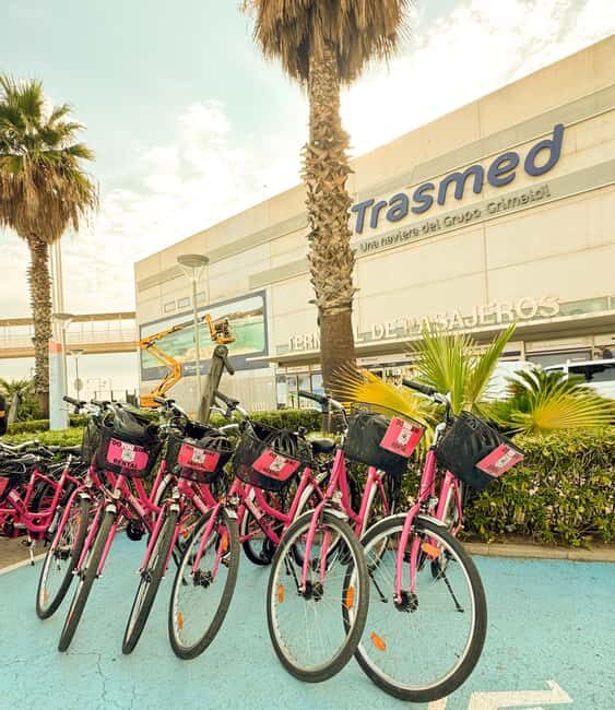 Valencia: Bike Tour and Tapas for Cruise Passenger - Authenticity and Value