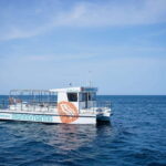 Valencia: Boat Tour with Swim Stop - Why This Tour Might Be Just Right for You