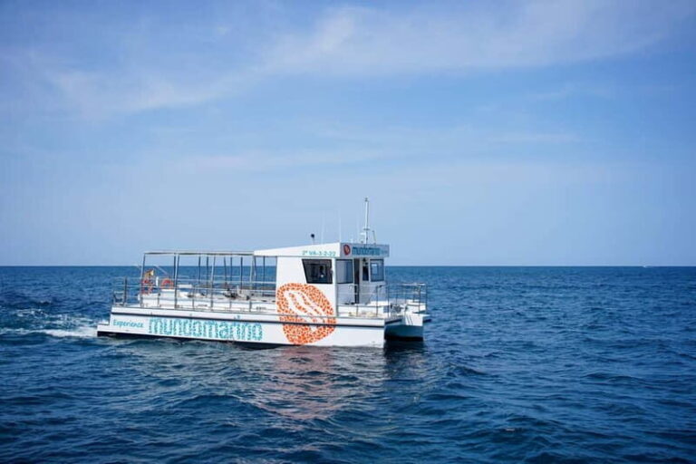 Valencia: Boat Tour with Swim Stop - Why This Tour Might Be Just Right for You