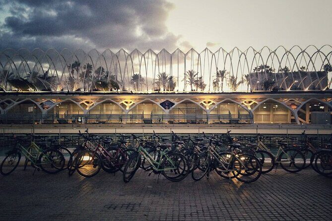 Valencia By Night Bike Tour - Who Will Love This Tour?