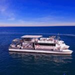 Valencia: Catamaran Cruise with Stop for Swimming - Who Will Enjoy This Tour?