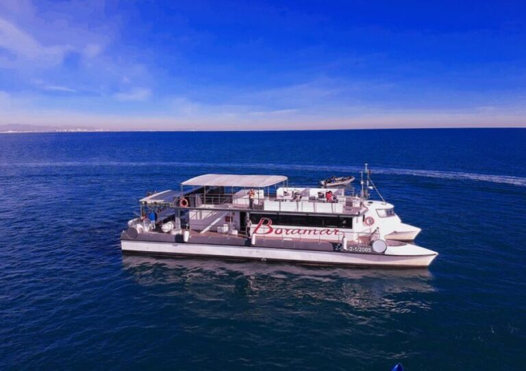 Valencia: Catamaran Cruise with Stop for Swimming - Who Will Enjoy This Tour?