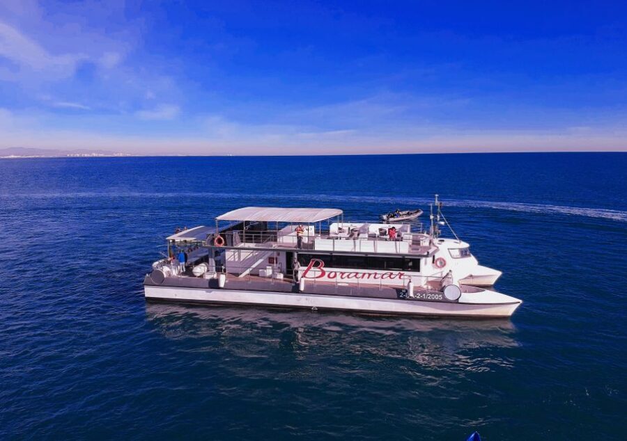 Valencia: Catamaran Cruise with Stop for Swimming - Who Will Enjoy This Tour?