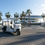 Valencia: Complete Tuk-Tuk Tour Around the City - Who Is This Tour Best For?