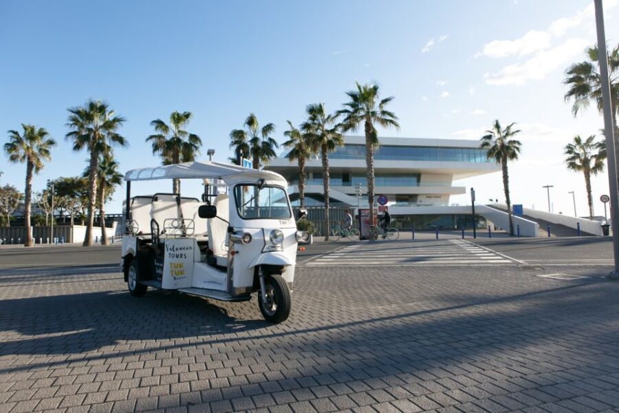 Valencia: Complete Tuk-Tuk Tour Around the City - Who Is This Tour Best For?